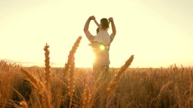 Mutlu çocuk ve baba olgunlaşan buğday tarlasında oynuyorlar. Küçük kız babasının omuzlarında. Bebek ve babası sahada seyahat ediyor. Çocuk ve ebeveyn doğada oynuyorlar. Mutlu aile ve çocukluk kavramı