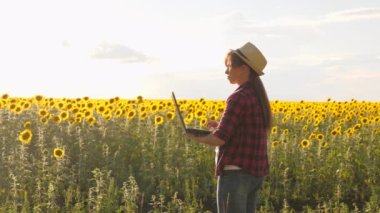 Ayçiçeği tarlasında elinde bilgisayarla bir iş kadını. Hasat analizi. Tarlada çalışan çiftçi kadın. Ayçiçeği tarlasında dizüstü bilgisayarla çalışan bir tarımcı..