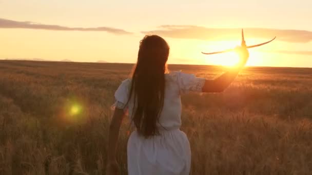 Avião na mão de uma criança correndo em um campo de trigo em direção ao sol. Aviador menina, sonhos e fantasias sobre o voo. Feliz infância. Sonhos adolescentes de voar em aviões e viajar mundo. — Vídeo de Stock