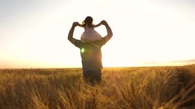 Mutlu çocuk ve baba dışarıda birlikte oynuyorlar. Küçük kız, buğday tarlasında çiftçilerin babasının omuzlarında oynuyor. Çocuk ve babası seyahat ediyorlar. Bebeğim, doğuştan ebeveyn. Aile, çocukluk