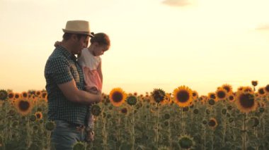 Küçük bir çocuk, çiftçinin kollarında bir kız babası çiçek açan bir tarlada yürüyor. Ekolojik turizm. Sevgi dolu bir aile güzel bir ayçiçeği tarlasına seyahat eder..