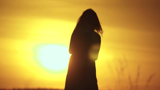 A mãe está a dar a volta à sua amada filha ao sol. Mãe e filha brincam juntas ao ar livre no parque de verão. Família feliz, mãe, filha estão a brincar no campo ao pôr-do-sol. Família feliz, infância saudável — Vídeo de Stock