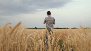 Mutlu çocuk babasıyla buğday tarlasında oynuyor. Baba sevgili çocuğunun etrafında dönüyor, kızı gülüyor, sağlıklı bebek uçuyor. Baba ve bebek yaz parkında. Aile, çocukluk