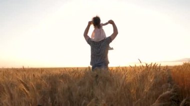 Baba omuzlarında küçük bir çocuk. Mutlu kız, çocuk, baba olgunlaşan buğday tarlasında oynuyorlar. Mutlu aile ve tasasız çocukluk. Bebek ve babası sahada seyahat ediyor. Çocuk ve ebeveyn oyunu
