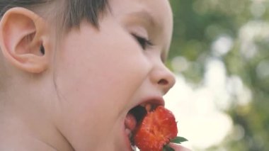 Kızım, kız yazın bahçede kırmızı çilek yiyor. Baharda, çocuk tarlada taze, sulu kırmızı çilekler yer. Çocuklar için doğal vitaminler. Çilek tarlasında sağlıklı bir çocuk. Lezzetli