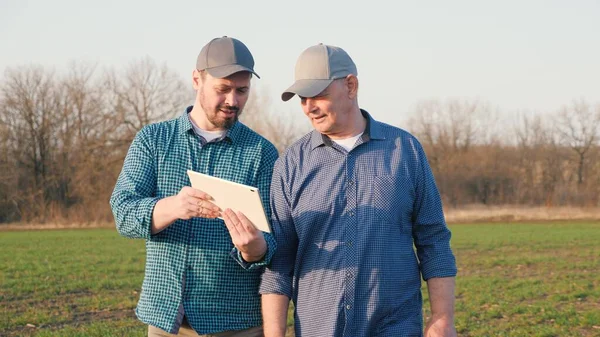 Modern tabletli iki çiftçi tarlada çalışıyor. Bir işadamı ve bir tarım uzmanı tarladaki ekin fidanlarını inceliyor. İş adamları takım çalışması. Tarım konsepti. Akıllı tarım teknolojisi.
