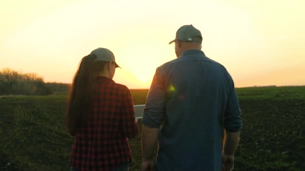 Jordbrukare med tablett går över fältet på våren med gröna skott, diskuterar skörd av spannmål, grönsaker. Ung agronomen kvinna med tablett dator arbetar i team med ägare av gården. — Stockvideo