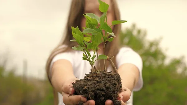 A tree sapling is in hands of a child. Growth and agriculture new life concept. Girl holds a green sprout in her palms. Health, care for environment for mother earth. Biological diversity of plants