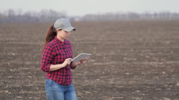 Una mujer granjera camina a través del campo, trabaja con Tablet PC. Un agrónomo con una tableta en las manos comprueba el campo. Agricultura respetuosa con el medio ambiente. Tecnologías digitales modernas en la agricultura — Vídeo de stock