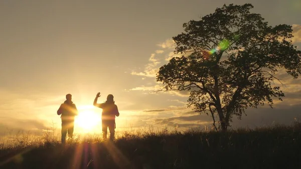 Silueta de dos viajeros caminando por el campo pasando junto a un solitario árbol al sol. Trabajo en equipo de turistas con mochilas al sol. Concepto de senderismo y aventura. Empresas y cooperación, socios — Foto de Stock