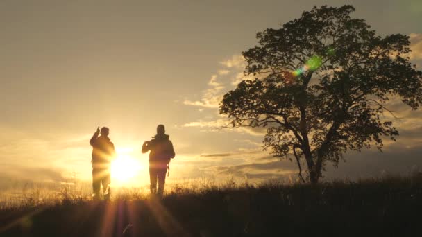 Silhouette de deux voyageurs marchant à travers le champ devant un arbre solitaire au soleil. Travail d'équipe de touristes avec des sacs à dos au soleil. Concept de randonnée et d'aventure. Entreprises et coopération, partenaires — Video