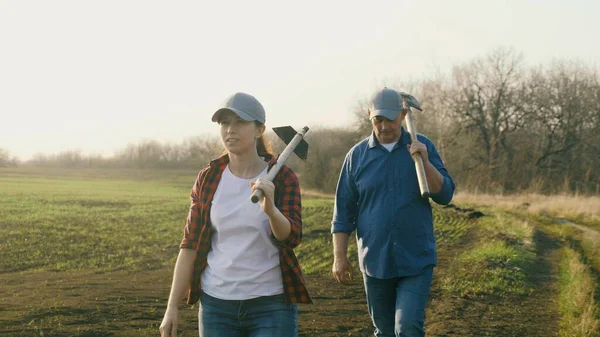 Man och kvinna arbetar i fält. Jordbruk. Bönder i stövlar går med verktyg med skyfflar, hoe över fältet med gröna skott. Arbetare går på marken på våren, plantering av plantor vid solnedgången. — Stockfoto