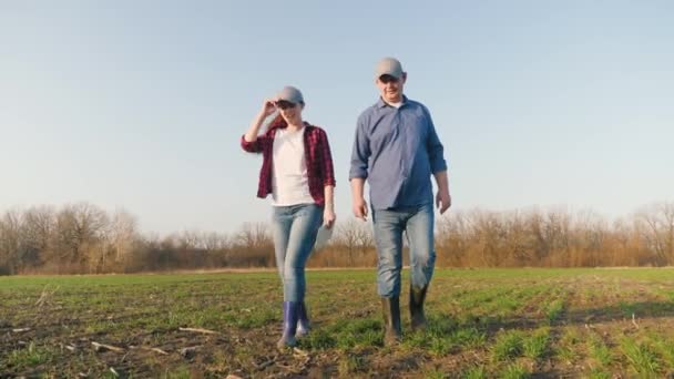 Um empresário e um agrônomo estão estudando mudas de culturas no campo. Agricultores homem, mulher com tablet trabalho de computador no campo. Trabalho em equipa. Tecnologias agrícolas inteligentes na agricultura — Vídeo de Stock