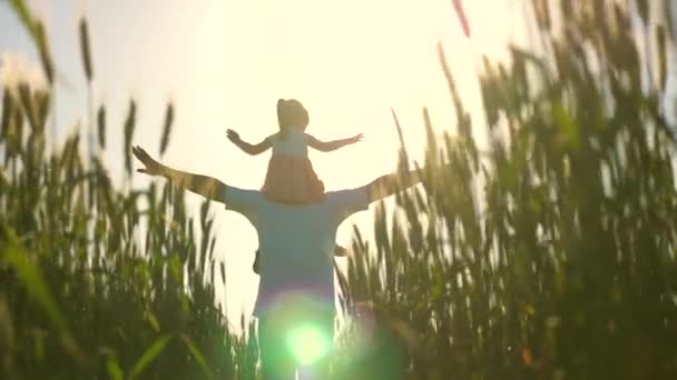 Little daughter on shoulders of farmers father. Happy family on vacation. Baby and dad are traveling in a wheat field. Child and parent are playing in nature. Happy family and childhood. Slow motion — Stock Video