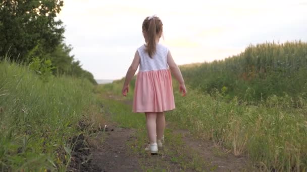 En liten flicka springer på sommaren längs vägen på ett grönt vetefält. Lycklig familj och barndom. Lilla dottern spelar på planen. Barndomsdrömmar. Barn leker utomhus. Dotter leker i parken — Stockvideo