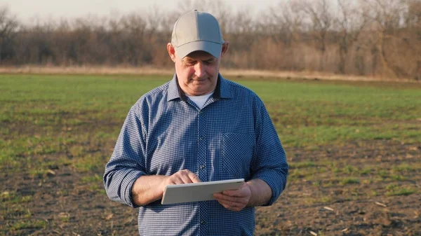 Boer werkt in het voorjaar in het veld met tablet. Een oudere boer kijkt naar tabletten en groene scheuten. Een slimme, agronomist met tablet in zijn handen, controleert het veld. Milieuvriendelijke landbouw — Stockfoto