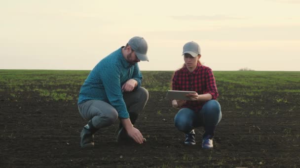 ビジネスマンと農学者は畑で作物の苗を研究しています。ビジネスマンのチームワークだ。農家の男性女性はコンピューターのタブレットを使って仕事をしています。農業におけるスマート農業技術 — ストック動画
