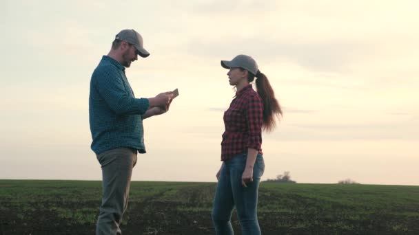 Los agricultores con una tableta de computadora trabajan en la primavera en el campo al atardecer. Trabajo en equipo de gente de negocios. Cultivar verduras, trigo, grano. Agricultura ecológica y concepto de empresa familiar. — Vídeos de Stock