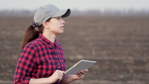 Bir kadın çiftçi tarlada yürüyor, tablet bilgisayarla çalışıyor. Elinde tablet olan bir tarım uzmanı alanı kontrol ediyor. Çevre dostu tarım. Tarımda modern dijital teknolojiler — Stok fotoğraf