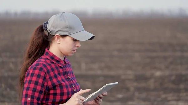 Bir kadın çiftçi tarlada yürüyor, tablet bilgisayarla çalışıyor. Elinde tablet olan bir tarım uzmanı alanı kontrol ediyor. Çevre dostu tarım. Tarımda modern dijital teknolojiler — Stok fotoğraf