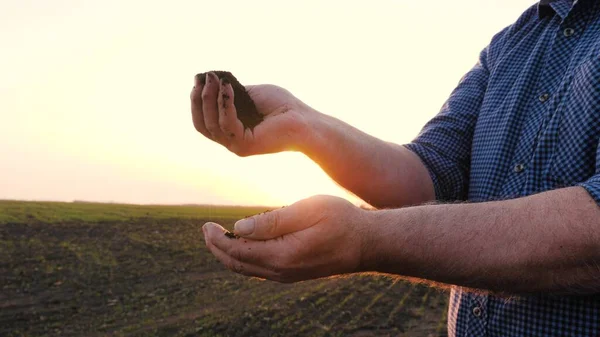 En manos del agricultor, sostiene un puñado de tierra fértil bajo el sol en el campo en primavera. Agricultura, agronegocios. En las palmas del horticultor retiene y vierte el humus, el suelo fertilizado. Agricultura y fertilidad. — Foto de Stock