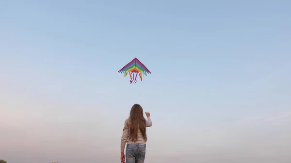 A child plays in park, a colored kite flies in blue sky. City kite festival. Flying kite high in sky on a sunny day in summer. The toy kite soars above ground like a plane. Childhood, Freedom, Toy. — Stock Photo, Image