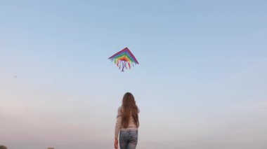 Bir çocuk parkta oynar, mavi gökyüzünde renkli bir uçurtma uçar. Şehir uçurtma festivali. Yazın güneşli bir günde gökyüzünde uçurtma uçurmak. Oyuncak uçurtma bir uçak gibi yerden yükseliyor. Çocukluk, Özgürlük, Oyuncak.