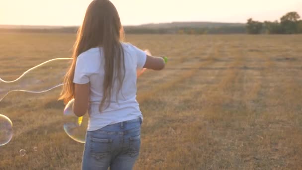 Kind, meisje dat in het park speelt met zeepbellen. Prachtige zeepbellen. Dochter speelt in het park bij zonsondergang. Gelukkige familie en jeugd concept. Zeepbellen op het veld, kinderen verjaardag — Stockvideo