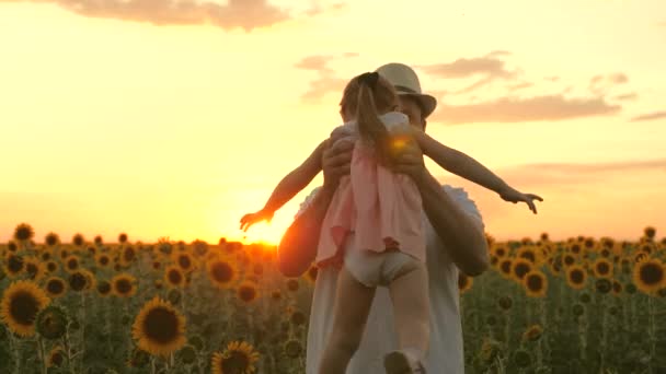 Boeren vader speelt met kind in een zonnebloem veld in de zon. Gelukkige familie, vaders cirkelen in de handen van kleine gelukkige dochter op het veld van zonnebloemen. Een gezond gezin reist in de zomer buiten. — Stockvideo