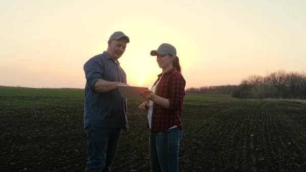 Farmers man, woman work in field with tablet computer. Agricultural business. Business people shaking hands in sun, teamwork. Business people shake hands. Businessmen make deal. Agriculture