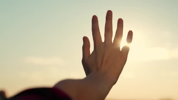 Hand of happy girl reaches for sun. Sunset between hands of girl. Girl dreamily stretches out her hand to sun, rays of sun shine through her fingers. Hand of childs dream to sun. Happy family concept — Stock Video