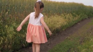 Yazın yeşil buğday tarlasında bir kız çocuğu yol boyunca koşar. Mutlu bir aile ve çocukluk. Küçük kızım sahada oynuyor. Çocukluk hayalleri. Çocuk dışarıda oynuyor. Kızım parkta oynuyor.