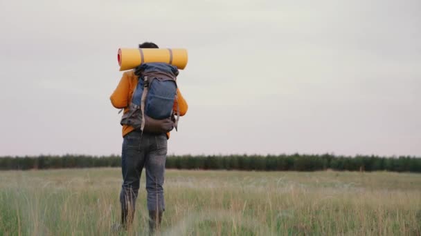 Hombre viajero activo con mochila camina a través del campo hacia el bosque. Senderismo hombre en verano en la naturaleza. El viajero viaja por un camino rural, meditación, ecoturismo, senderismo. Esfuerzos por la victoria. — Vídeo de stock