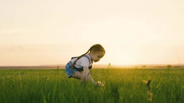 Активные игры для детей в природе. Счастливое дитя, девушка ходит по зеленой траве в парке, собирает цветы на поле, Малыш улыбается. Детская мечта. Моя дочь веселится на улице. Счастливая семья, детство — стоковое фото