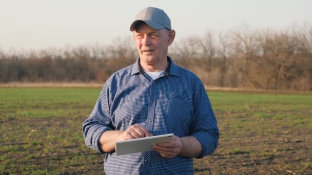 Senior farmář se dívá na počítačový tablet v terénu, obchodník. Zemědělství. Rolnický zemědělec s digitálními tabletami kontroluje sazenice na plantážích. Zemědělský agronomista pracuje v terénu. — Stock video