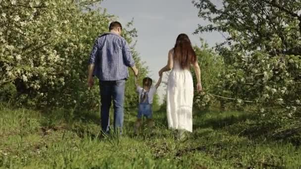 Mama, Papa und Tochter spielen im Garten, glückliches Kind hält Eltern an den Händen und springt. Glückliche Familienläufe im Park, Händchenhalten im Frühling, Sommer. Teamwork. Glückliche gesunde Kindheit. Familienwochenende — Stockvideo