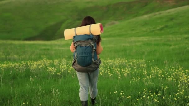 Een actieve jonge blanke vrouw met rugzak gaat wandelen. Girl Traveler reist op groen gras en bloemen, meditatie, ecotoerisme, wandelen. Gratis vrouw reiziger wandelen door het weiland in de zomer. — Stockvideo