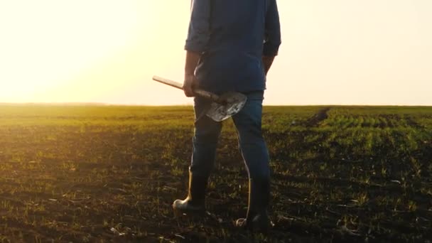 A farmer with a shovel in his hands walks across the field. Agronomist walks on black plowed land at sunset. Agricultural business. Farming concept. Growing vegetables, grains. Worker man with shovel — Stock Video