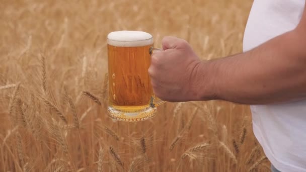 Mão masculina segurando um copo de cerveja leve contra um campo de trigo em um dia de verão. Cerveja fresca deliciosa para as férias da agricultura. Produção de cerveja de trigo. Bebida alcoólica saborosa ao ar livre. — Vídeo de Stock