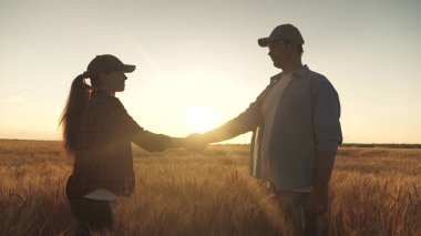Bir çiftçi ve bir işadamı buğday tarlasında konuşur, anlaşma yapar, tablet kullanır. Tarım sektörü konsepti. İki iş adamı, erkek ve kadın, sıkıca el sıkışıyorlar. - Anlaştık. Yiyecek yetiştiriyorum. iş arkadaşları