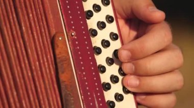 İnsanın Elleri güneşte akordeon çalıyor, yakın plan. Neşeli adam müzik aleti çalıyor. Sanatçı açık havada şarkı söyler ve enstrüman çalar. Kırsalda gelenek ve kutlama.