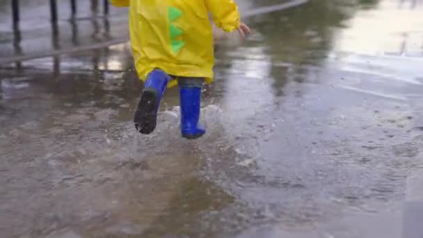 Ένα χαρούμενο παιδί τρέχει σε μια λακκούβα με λαστιχένιες μπότες και ένα αδιάβροχο. Το παιδί παίζει σε ένα καλοκαιρινό πάρκο στη βροχή, χαίρεται και τρέχει, πιτσιλίζει κάτω από τα πόδια του. Ευτυχισμένη παιδική ηλικία, οικογενειακή ευτυχία. Κοντινό πλάνο — Αρχείο Βίντεο