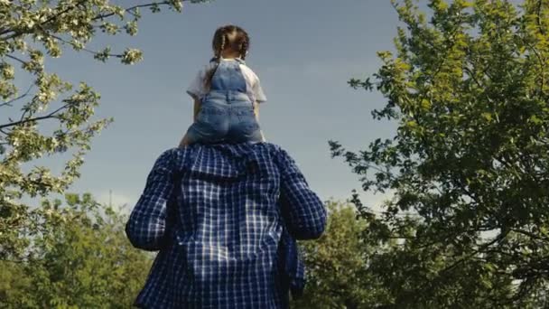 Baba kızıyla oynar, sevgili çocuğunu yaz parkında omuzlarında taşır. Mutlu bir aile. Baba bebekle yürür, çocuk babasını sever, aile doğada, dışarıda yürür. Ebeveyn, çocukluk — Stok video