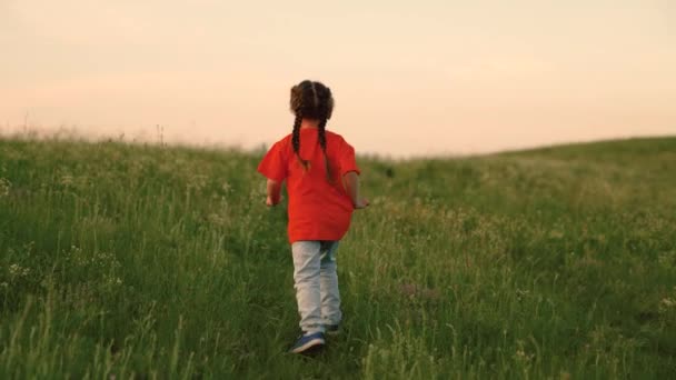 Happy Child girl runs along the road in the green grass. Happy little girl is dreaming in nature. Childrens fantasies. Happy kid running through a field of flowers at sunset. Happy family concept. — Vídeo de Stock