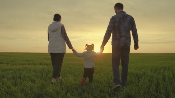 Mami, táta a dcera si hrají na hřišti, dítě drží rodiče za ruce. Happy rodina procházky v parku drží ruce v létě při západu slunce. Týmová práce. Šťastné dětství, rodinné vzdělání — Stock video