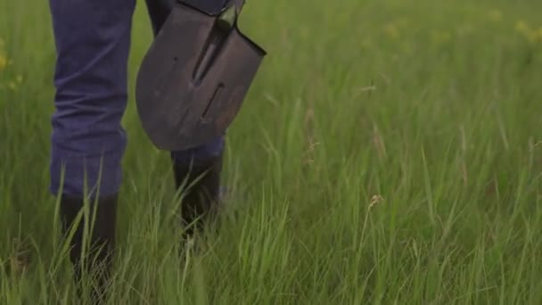 A farmer with shovel in his hands walks across field. Working man with shovel. An agronomist walks through plantation at sunset. Agricultural business. Farming concept. Growing vegetables, grains — Stock Video