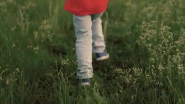 Mutlu bir çocuğun bacakları yol boyunca yeşil çimlerin üzerinde koşar. Mutlu küçük oğlan, doğada rüya gören kız. Çocuk fantezileri. Mutlu çocuk gün batımında çiçek tarlasında koşuyor. Mutlu bir aile.