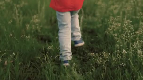 Las piernas de un niño feliz corren a lo largo de la carretera en la hierba verde. Niño feliz, niña soñando en la naturaleza. Fantasías infantiles. Feliz niño corriendo por el campo de flores al atardecer. Una familia feliz — Vídeos de Stock