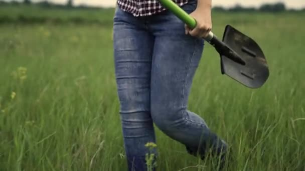 自分の手にシャベルを持つ農家の女性は仕事からフィールドを通過します。農業、農業。シャベルを持った労働者。農学者は日没時にプランテーションを歩く。野菜栽培 — ストック動画