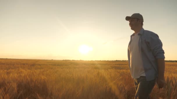 Dos hombres de negocios, granjeros, hombres y mujeres, se saludan con sus manos en el campo de trigo, se regocijan por la buena cosecha de grano y el abrazo. Feliz granjero, agrónomo en el campo de trigo bajo el sol. Cosecha de granos — Vídeo de stock